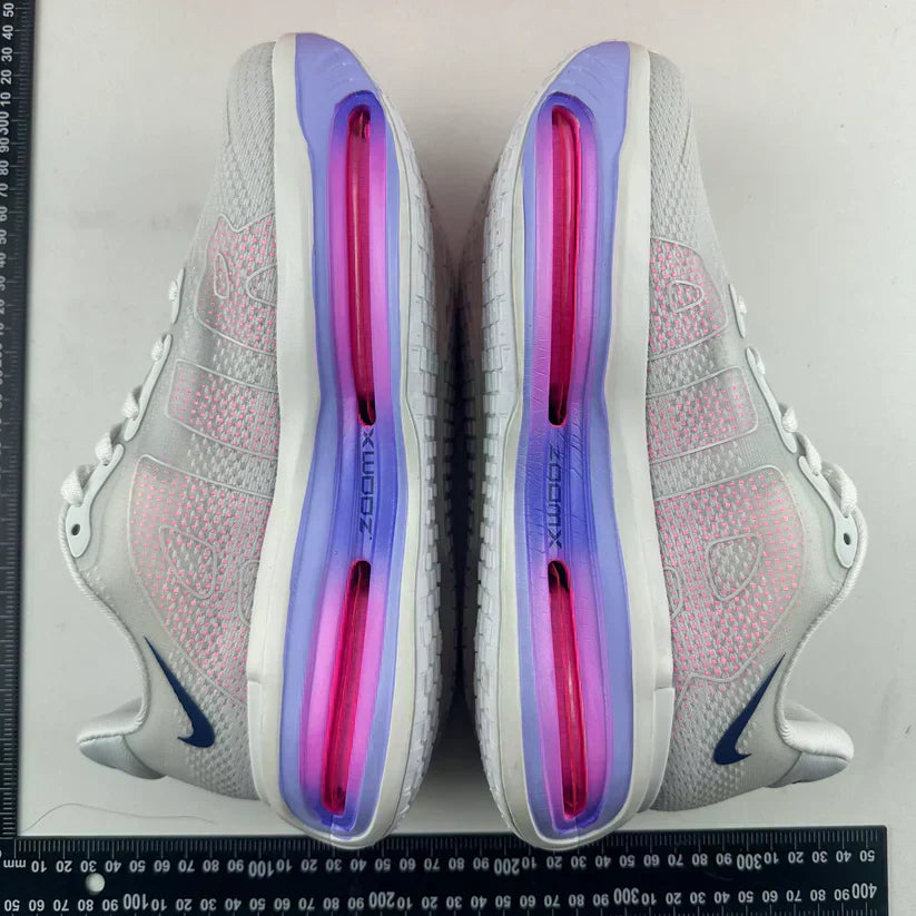 Nike Vomero Premium Blue Tint